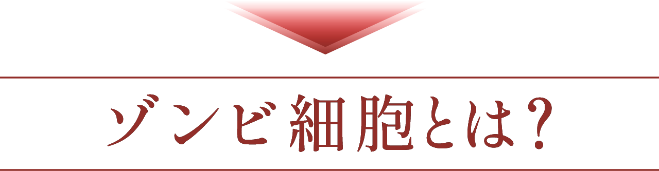 ゾンビ細胞とは