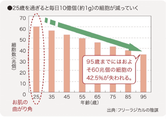 25歳を過ぎると毎日10億個の細胞が減っていく