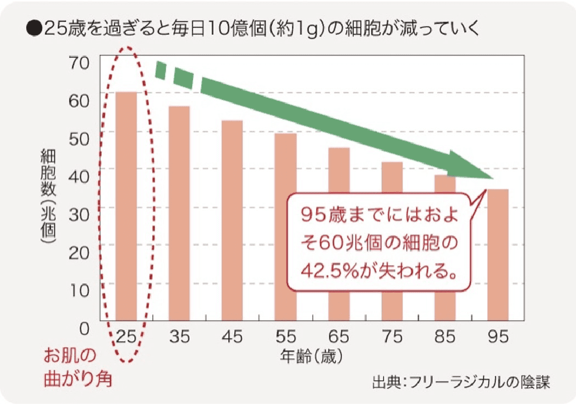 25歳を過ぎると毎日10億個の細胞が減っていく