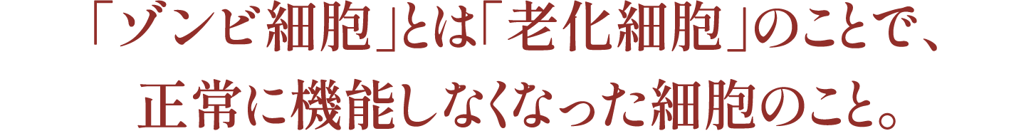 「ゾンビ細胞」とは「老化細胞」のことで、正常に機能しなくなった細胞のこと。