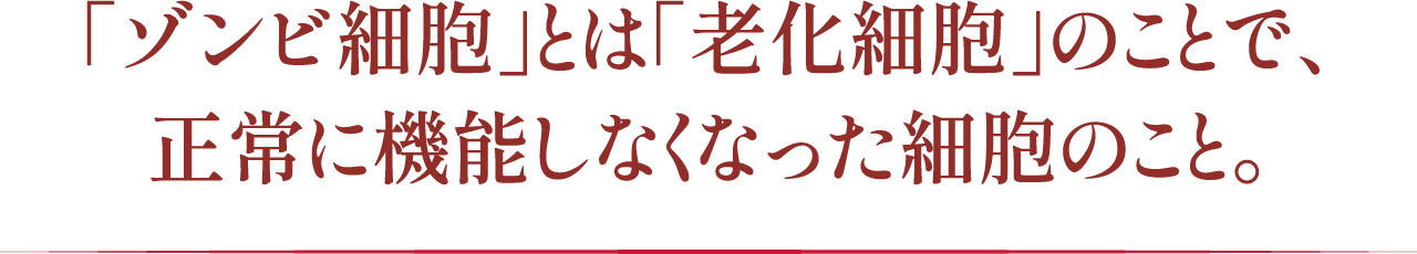 「ゾンビ細胞」とは「老化細胞」のことで、正常に機能しなくなった細胞のこと。