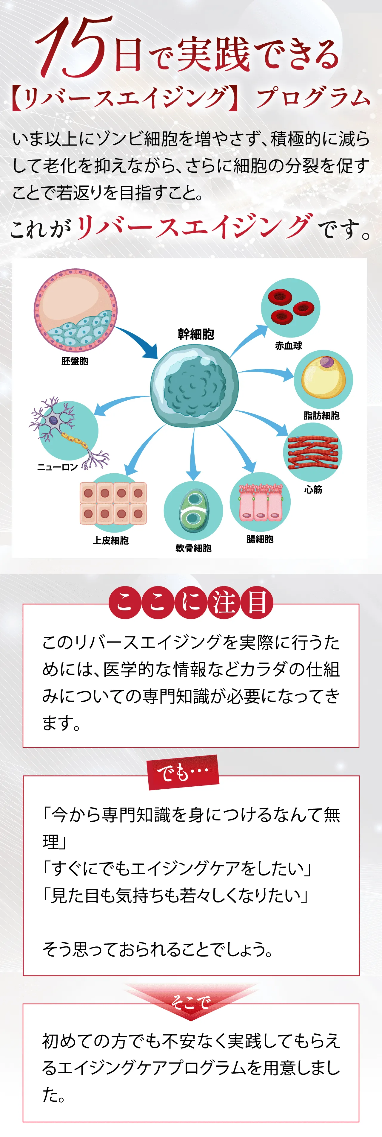 15日で実践できる【リバースエイジング】プログラム